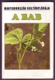 A bab. Phaseolus vulgaris L.