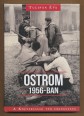 Ostrom 1956-ban. A Köztársaság tér emlékezete